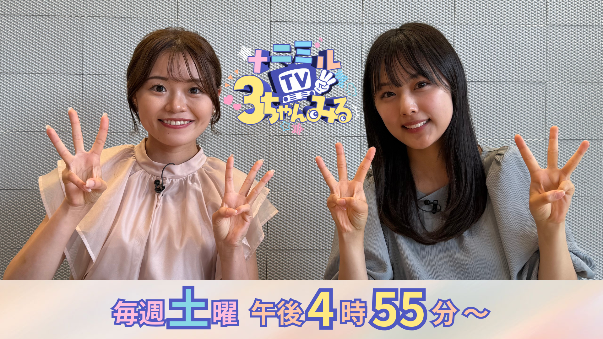 ナニミルＴＶ ３ちゃんみる