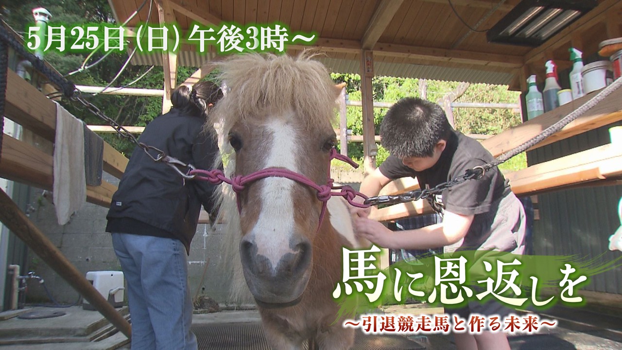 馬に恩返しを～引退競走馬と作る未来～