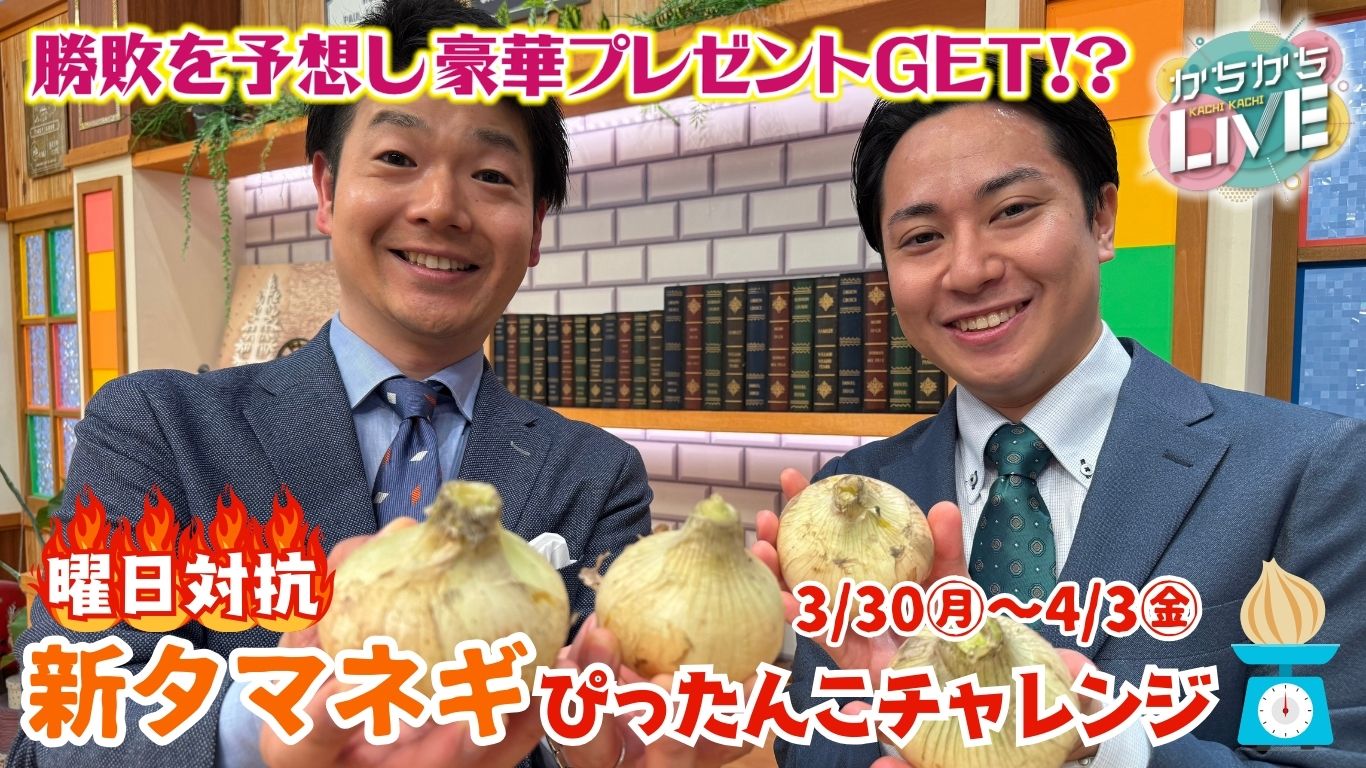 曜日対抗新タマネギぴったんこチャレンジ