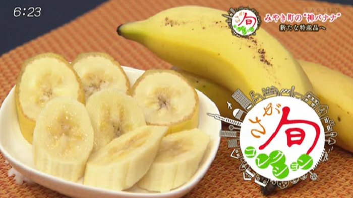 1本 円 みやき町生産 神バナナ 初収穫目前 ピックアップ サガマル サガマル Sagamaru