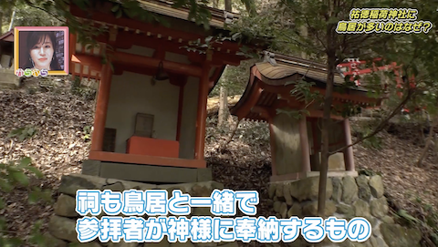 祐徳稲荷神社に鳥居が多いのはなぜ さがq7 番組コーナー かちかちプレス