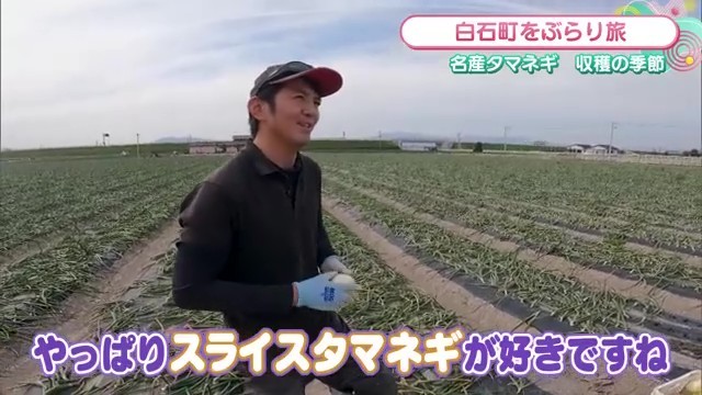 食べ方