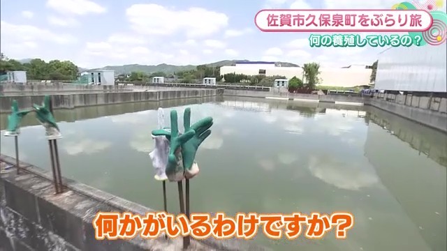 養殖場