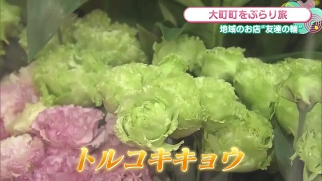 トルコギキョウ