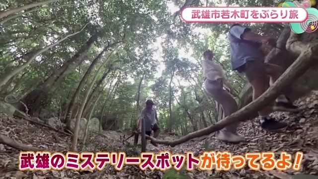 山中