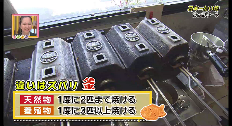 天然物と養殖物の違い