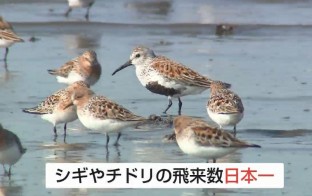 関東の若者たちから“聖地”と呼ばれる場所
