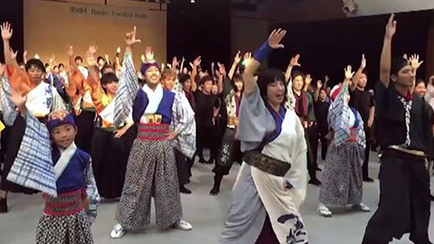 Happy Yosakoi Saga