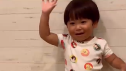 やまぐち さく