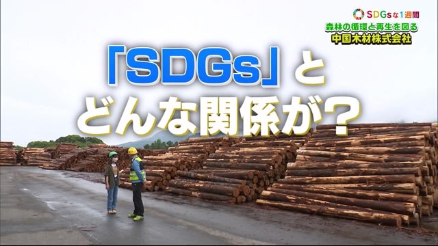 森林伐採をしている会社がSDGｓな取り組み？ 「中国木材株式会社」
