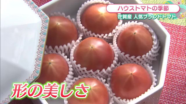佐賀の春を彩る宝石！「光樹とまと」の濃厚な甘さと希少な輝きに迫る