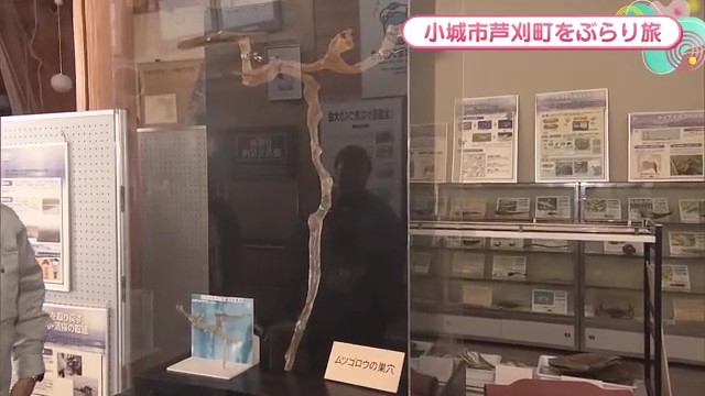 有明海の魅力発見！佐賀県有明水産振興センターでムツゴロウの生態や伝統漁法を学ぶ
