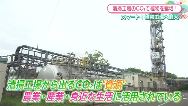 清掃工場の二酸化炭素が資源に？佐賀市の「SMART GARDEN」が実現する持続可能な植物栽培