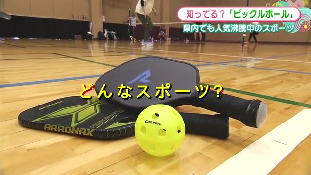 佐賀でも人気拡大中！話題のスポーツ「ピックルボール」とは？
