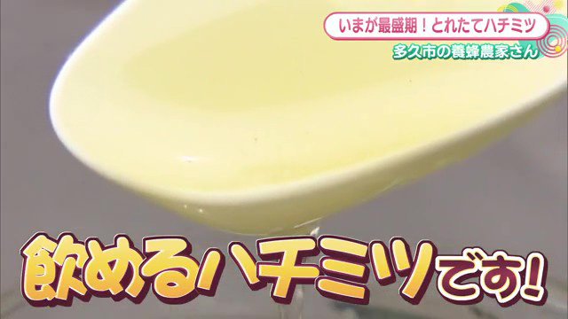 自然の恵みをそのままに。多久の養蜂家が届ける"飲めるハチミツ"とは？多久市「宮本養蜂」