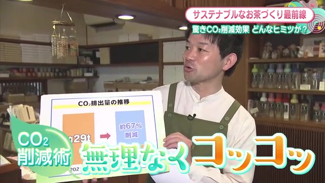 CO₂67％削減！嬉野の老舗茶園が実現した「カーボンニュートラル新茶」の秘密