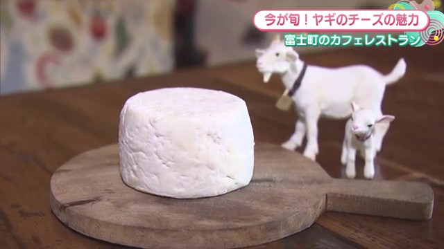 今だけの濃厚な味わい！フランス仕込みの"ヤギチーズ"体験 佐賀市「シェ・ハイジ」