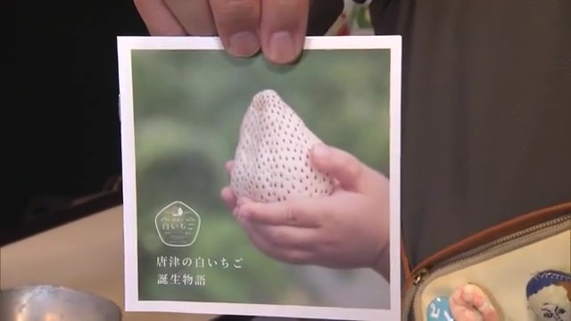 幻の白いちごに出会える贅沢空間！唐津市相知町「唐津の白いちご 井出農園」