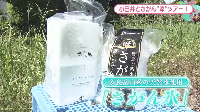 鹿島市発！3日間かけて作る透明な「さがん氷」の秘密とは？