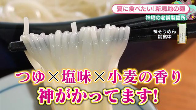 佐賀県産小麦100%の「神そうめん」が絶品すぎる！創業153年井上製麺の新境地