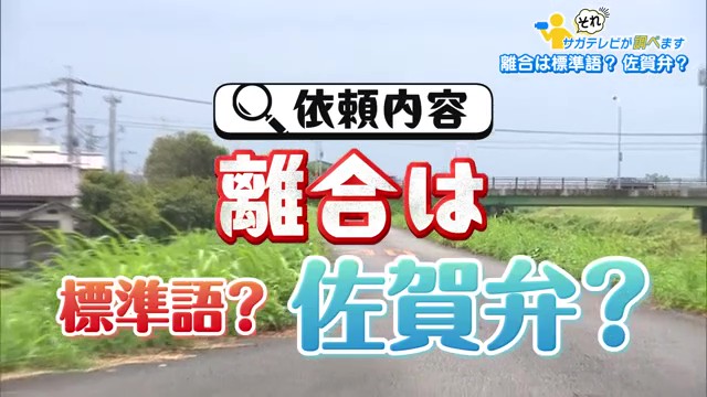 佐賀県民も驚愕！「離合」「つ」は方言だった？視聴者の疑問から判明した言葉の意外な真実