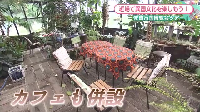 カフェも？異世界が広がる 佐賀の隠れた雑貨店 佐賀市「マライカバザール佐賀店」  