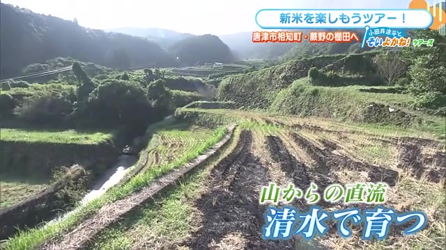江戸時代から続く美しい棚田で味わう新米の美味しさ ～唐津市相知町・蕨野の棚田～