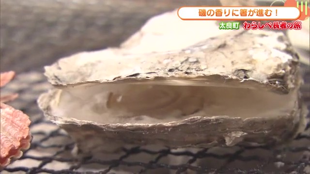 海の恵みを存分に堪能！太良町の牡蠣小屋「海道丸」