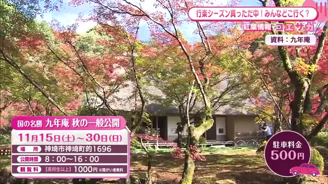 秋の佐賀を満喫！紅葉スポットからグルメまで 地元民が選んだおすすめお出かけスポット