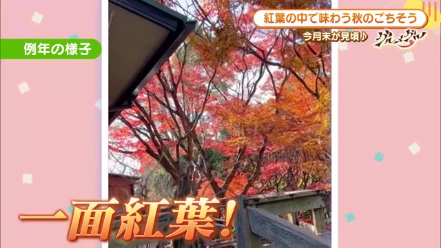 鳥栖市の「花カフェ」で楽しむ贅沢な紅葉狩り