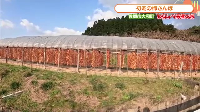 イルミネーションのように広がる色鮮やかな「柿暖簾」が圧巻の美しさ 佐賀市「松梅地区」