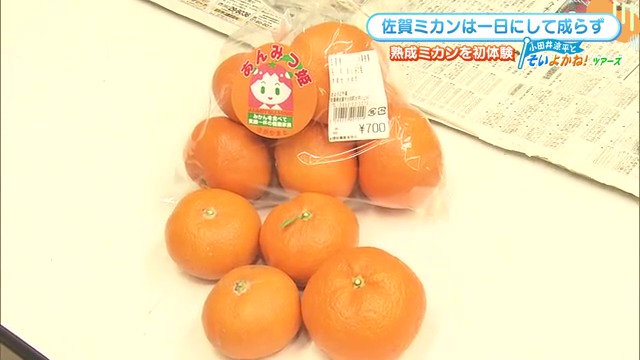 佐賀の冬を彩る名産グルメ――いちご、海苔、みかん