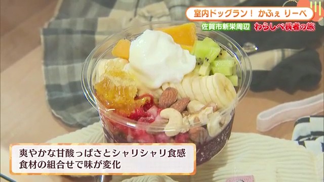 佐賀市新栄「かふぇ りーべ」で愛犬と一緒にくつろぐ！室内ドッグランとテイクアウトカフェが融合した理想空間