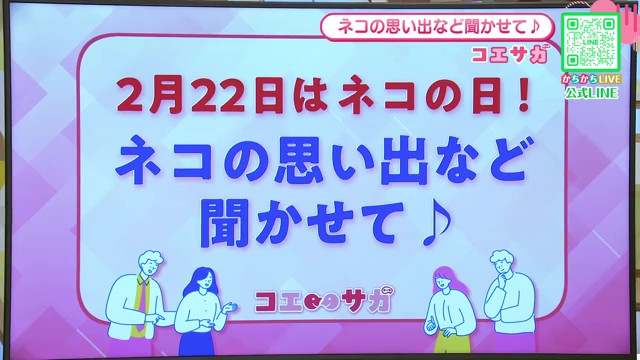 2月22日は猫の日！猫好きが語る"あるある"エピソードと素朴な疑問を専門家が解説