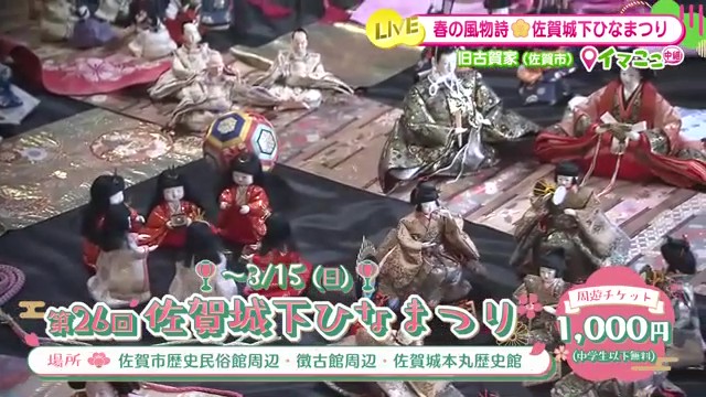 春の佐賀を彩る「第26回 佐賀城下ひなまつり」開幕！約5000体の雛人形と「ノラネコぐんだん」初コラボが話題