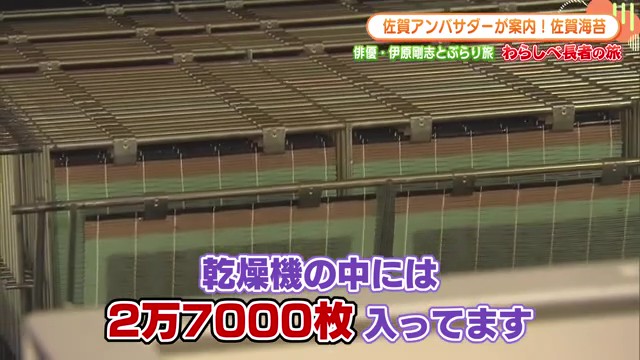 映画で培ったのりへの深い愛が実を結ぶ！佐賀ののり工場で見る職人の技