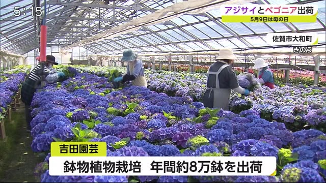 天気 富谷 市