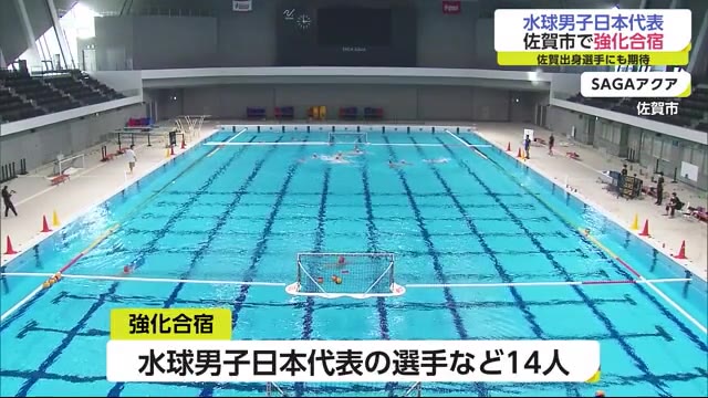水球男子日本代表がSAGAアクアで強化合宿【佐賀県】