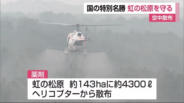"虹の松原" 松くい虫から守ろう 薬剤をヘリコプターから空中散布【佐賀県唐津市】