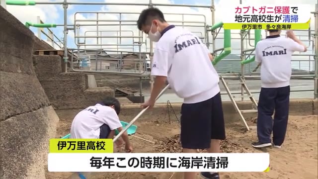 カブトガニの繁殖地で国の天然記念物に指定　"多々良海岸"など 産卵時期前に高校生が清掃活動【佐賀県】