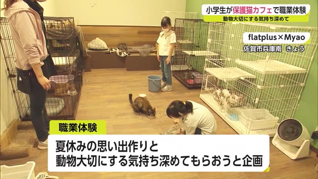 動物を大切にする気持ち深めて 小学生が保護猫カフェで職業体験【佐賀県】