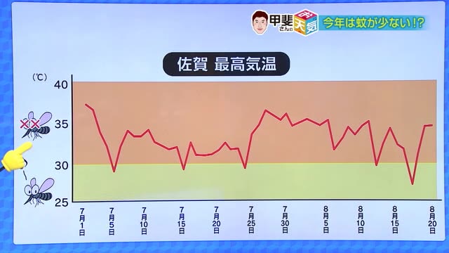 今年の夏は蚊が少ない！？蚊にとっても厳しい暑さで夏バテ？【佐賀県】