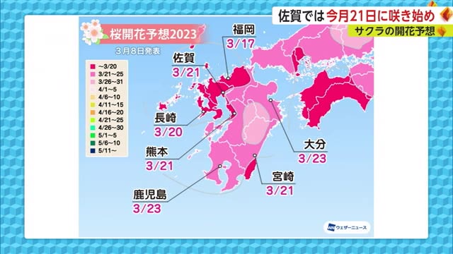 サクラ開花予想 平年より3日早い3月21日【佐賀県】