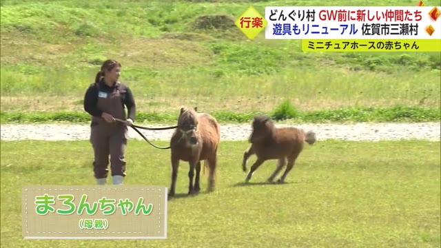 どんぐり村 GW前に新しい仲間たちが！遊具もリニューアル【佐賀県】