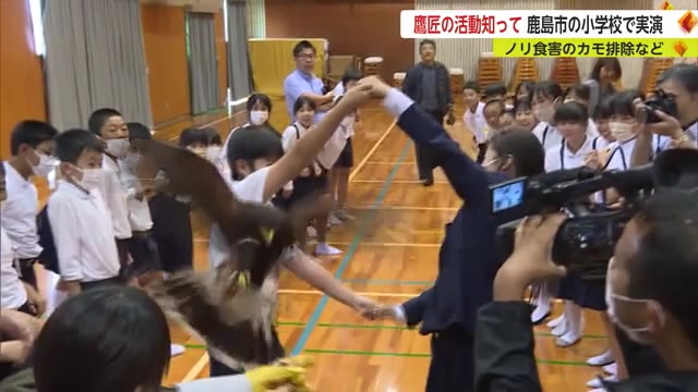 タカの迫力に圧倒！ "鷹匠" の石橋美里さんが小学校で実演授業 【佐賀県】