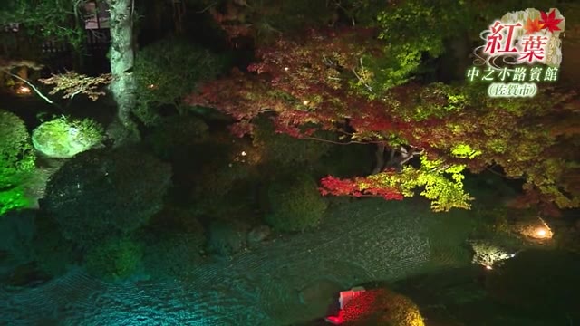 紅葉の名所 「中之小路賓館」知事の住まいとして利用された旧知事公舎【佐賀県】