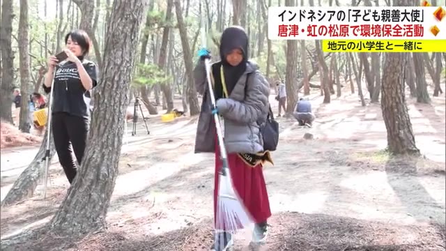 インドネシアの子供たちがマツの葉を取り除く環境保全活動 唐津市虹の松原【佐賀県】