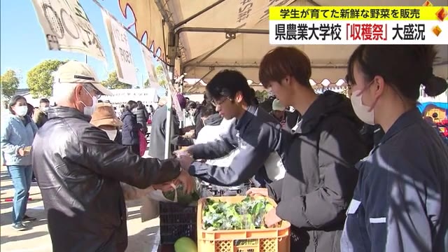 学生が丹精込めて育てた新鮮野菜を格安販売 佐賀県農業大学校「収穫祭」 今年も大盛況