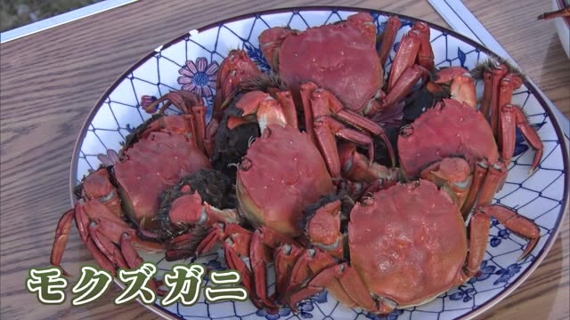 甘い身と濃厚なカニミソが絶品！「モクズガニ」漁が筑後川で最盛期 「上海ガニよりもおいしい」【佐賀県】