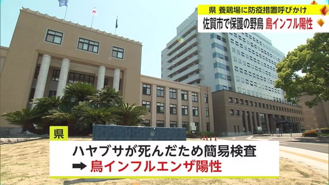 佐賀市内で野鳥から鳥インフルエンザ陽性確認 先月には鹿島市の養鶏場でも発生【佐賀県】